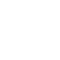 icon truck